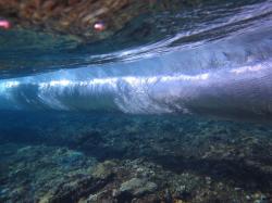 A wave crashes on the reef crest on an outer reef.