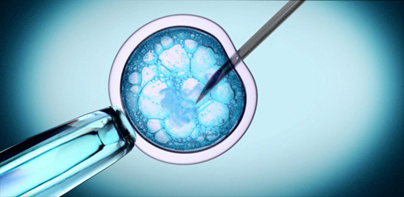 Crispr image 1
