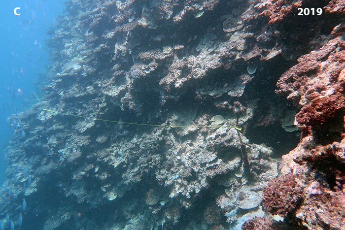 Fig-7C-Horsehoe