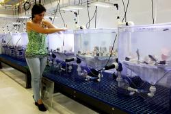 Figure 3: Sea Simulator