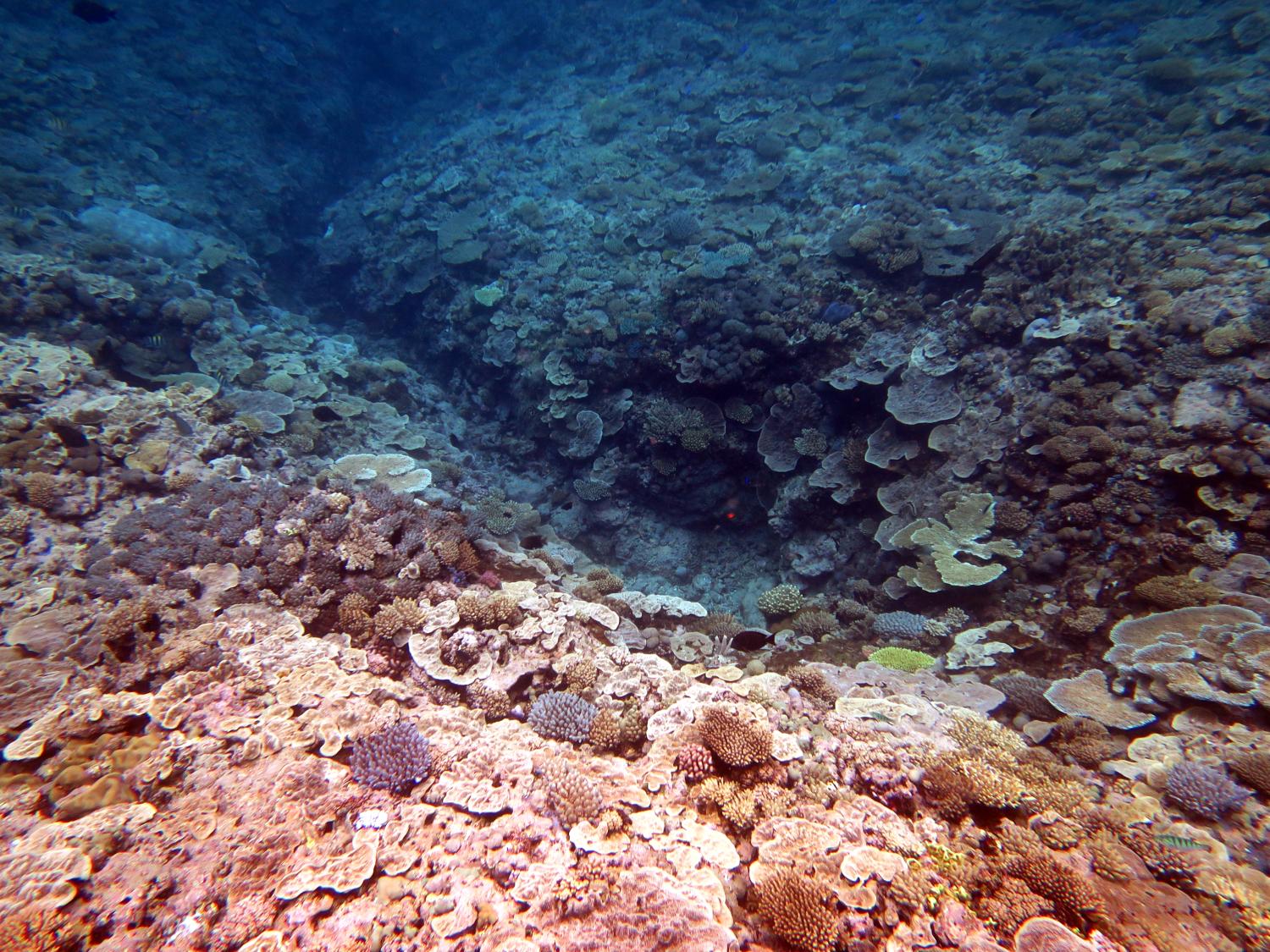image3.jpg
