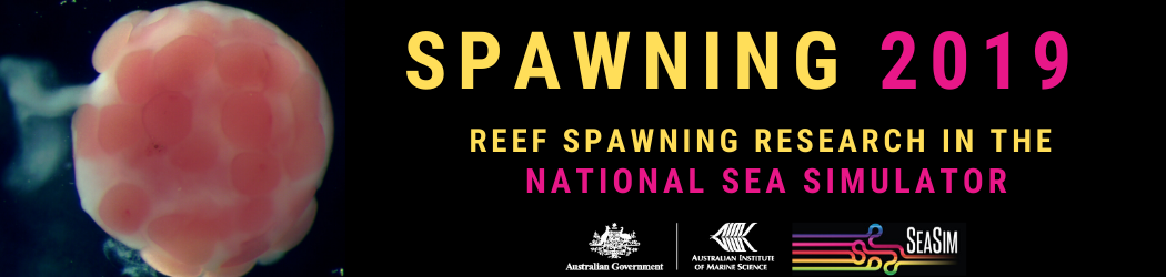 Spawning 2019 Header