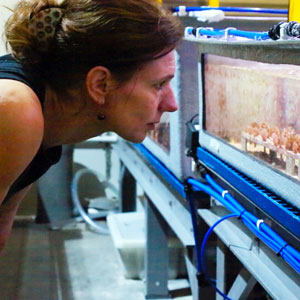 Madeleine van Oopen looks into aquaria