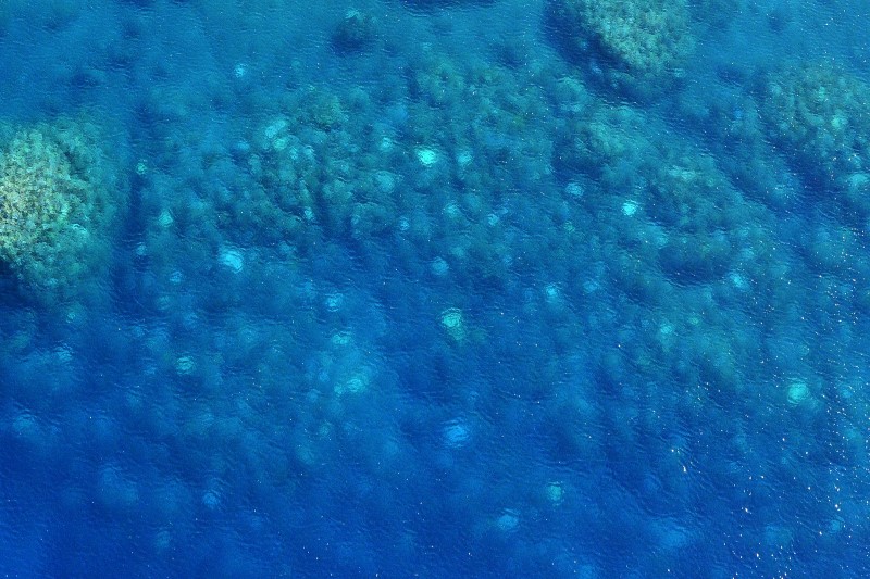 Aerial view of several white coral colonies beneath the water's surface