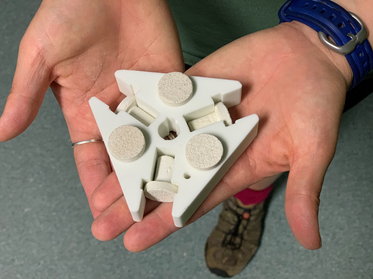 settlement device for corals