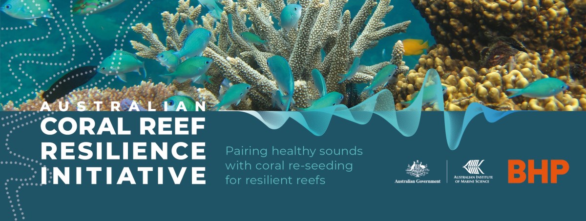 Australian Coral Reef Resilience Initiative
