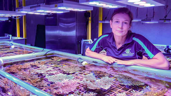 Woman stands behind a low aquaria tank filled with coral