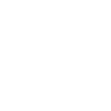 globe icon inverted