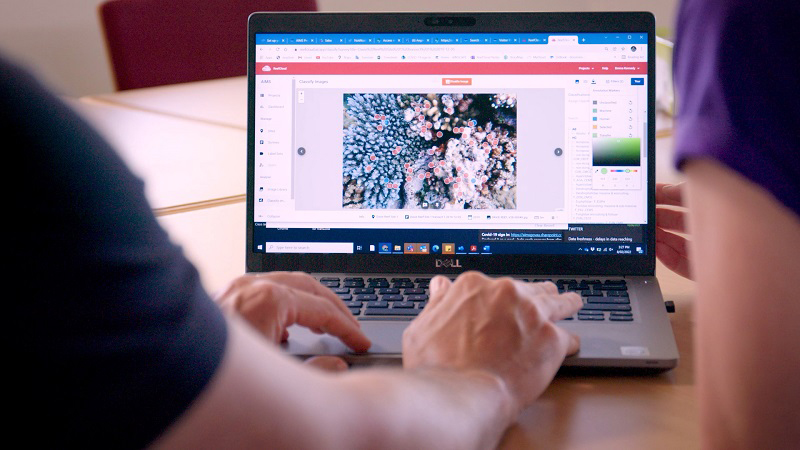 Over the shoulder of people looking at coral on a laptop