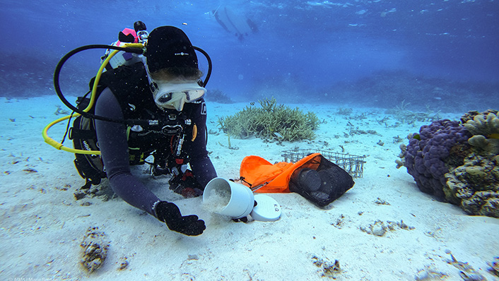 A scuba diver collects sand for later analysis