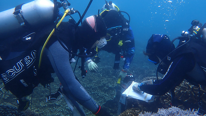 Scuba divers survey a coral reef