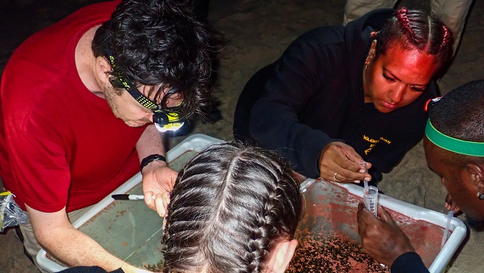 People lean over a tub containing coral eggs
