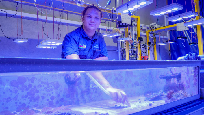 Indigenous man cleans an aquaria tank