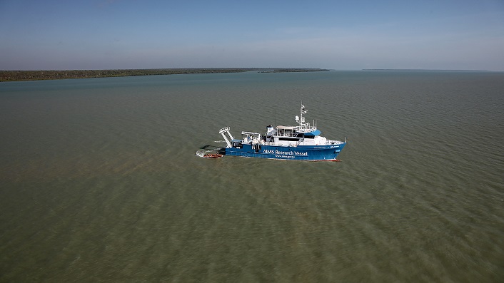 Large vessel at sea with mangroves in the distance