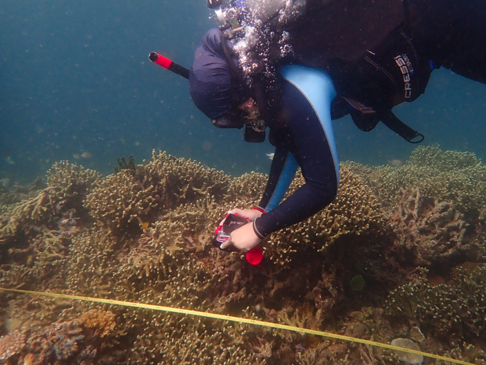 diver takes photo of a coral reef