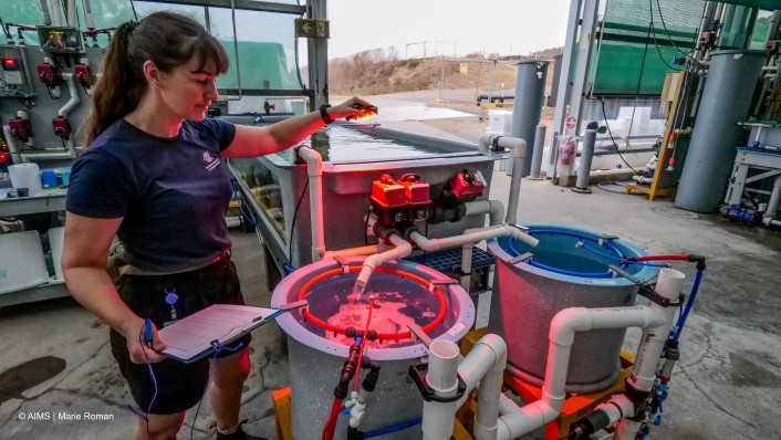 woman stands next to large open aquaria and smalled tubs connected with pipes. A red light is held over the tub which is filled with corals