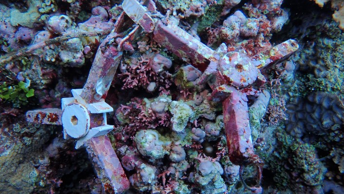 close up on a reef surface on two three-pringed devices. One is coated in pink algae, the other has sections free from algae showing the success of the antifoul.