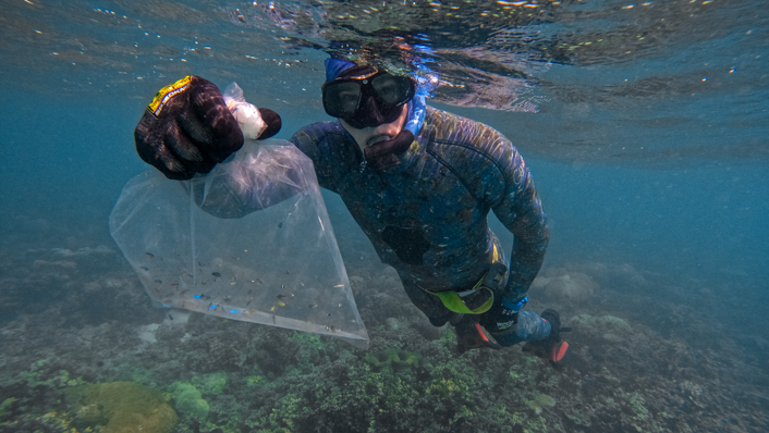 A snorkeler holds a bag with larval fish ready to release on the reef