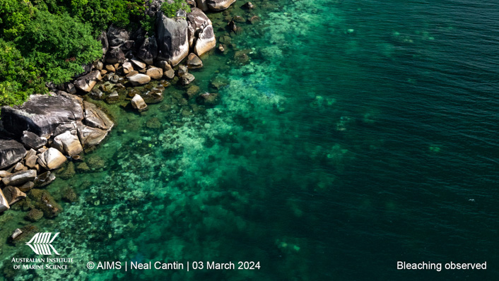 aerial view of a reef showing signs of bleaching next to land