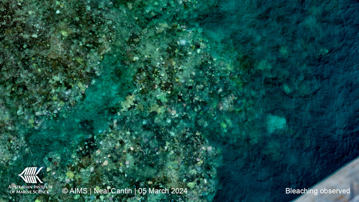 aerial view of a reef showing signs of bleaching