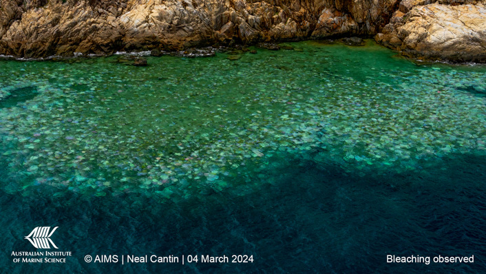 aerial view of a reef showing signs of bleaching