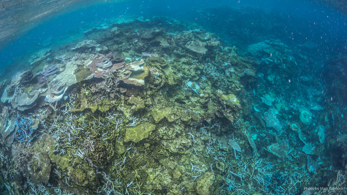 A reefscape with signs of damage from a cyclone