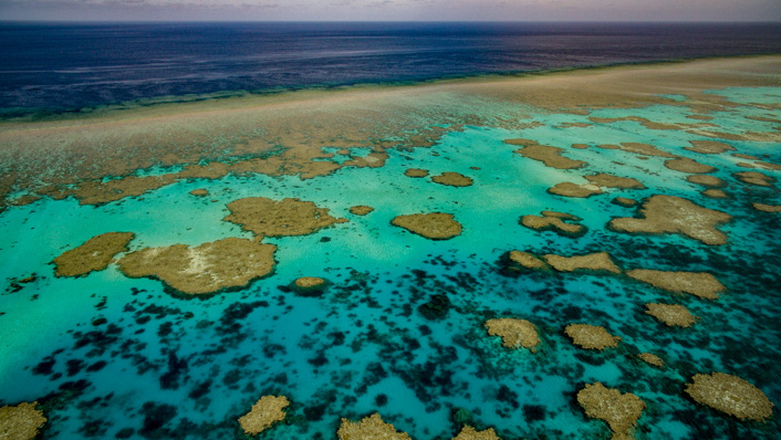 An aerial image of a coral reef