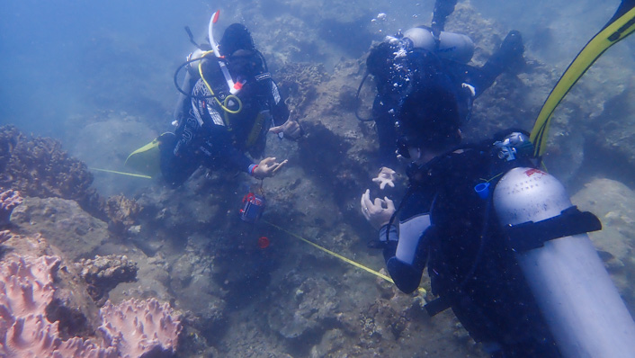 Scuba divers communicate using hand signals underwater