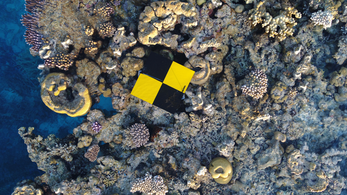 aerial shot of an intertidal coral reef area at low tide