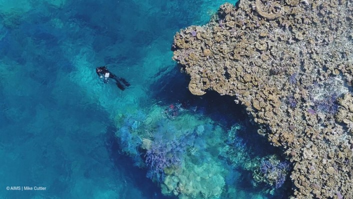 A diver swims on their back in turquoise water close to a large coral reef formation