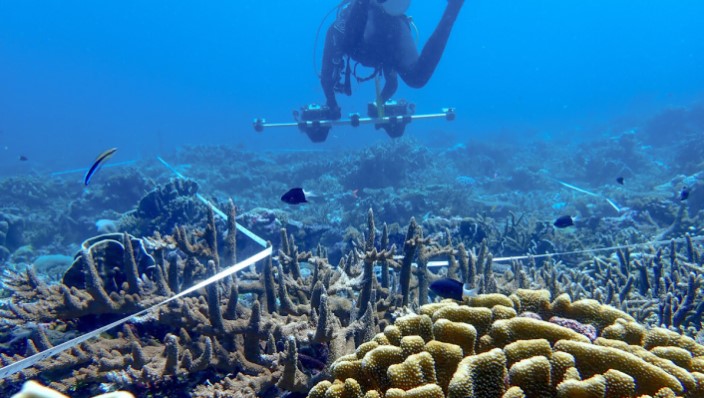 A diver holding on to a horizontal bar with cameras at each end swims over a coral reef
