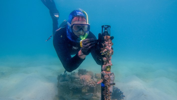 person underwater working on equipment