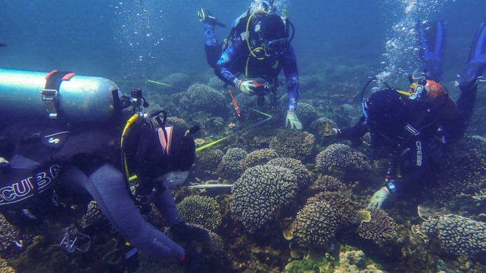 three divers close to the reef, working. bubbles are streaming out of their regulators