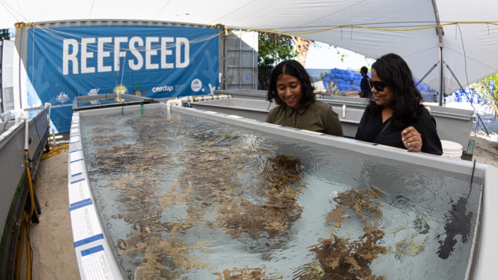 Two women look into a large tank filled with corals