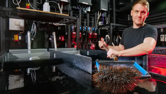 Richard Harris, with crown-of-starfish and flume system in the National Sea Simulator