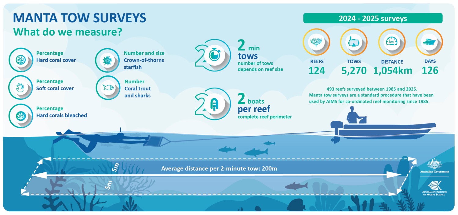 A graphic showing that the monitoring program in 2025 surveyed 124 reefs, performed 5270 tows covering a distance of 1054km over 126 days at sea