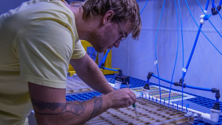 A man leans over a collection of coral samples in a lab setting
