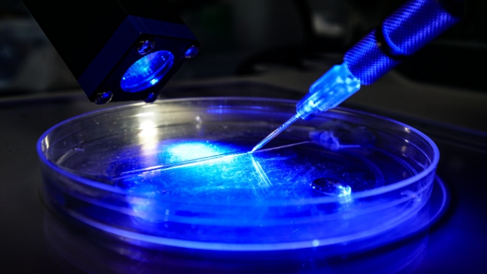 Petri dish and injector in fluorescent light