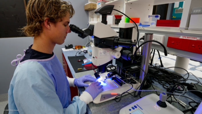 Scientist at microscope