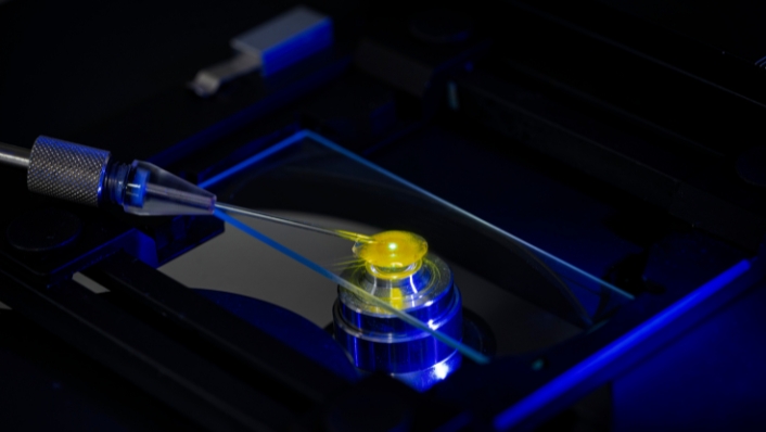 Inoculating corals in a lab