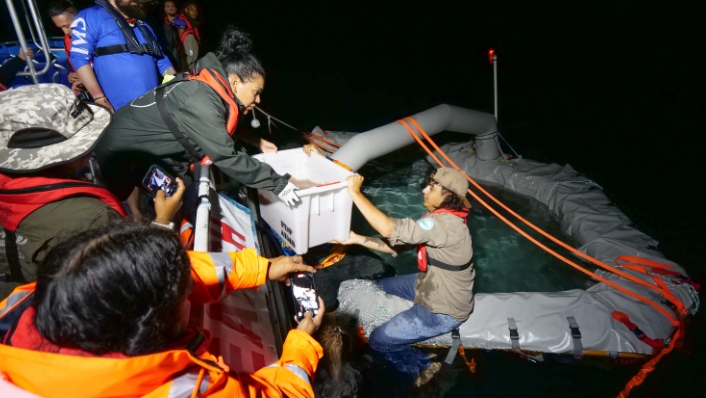 Indigenous Rangers pass a bucket of coral spawn from a boat to an inflatable pool