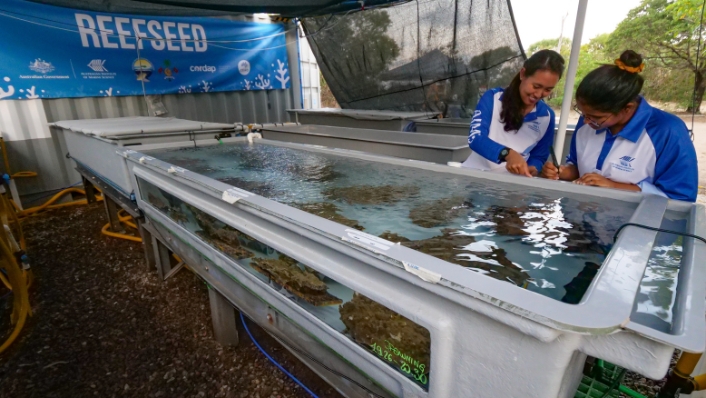 Scientists operating a ReefSeed coral spawning unit