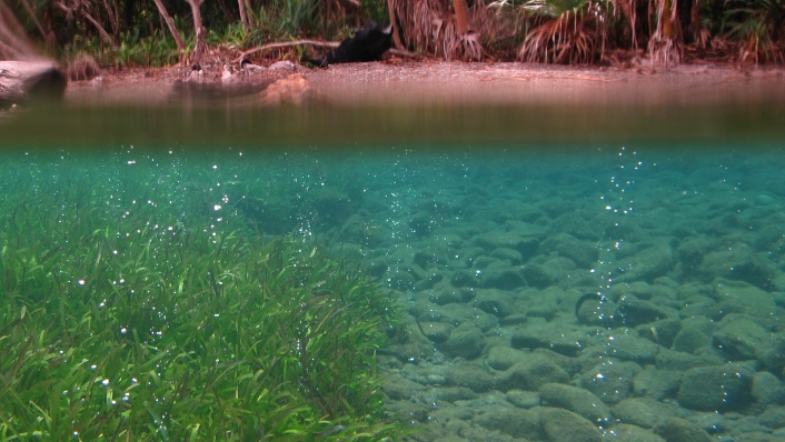 CO2 bubbles emerge from volcanic seeps near beach