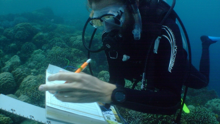 Diver recording data on coral reef