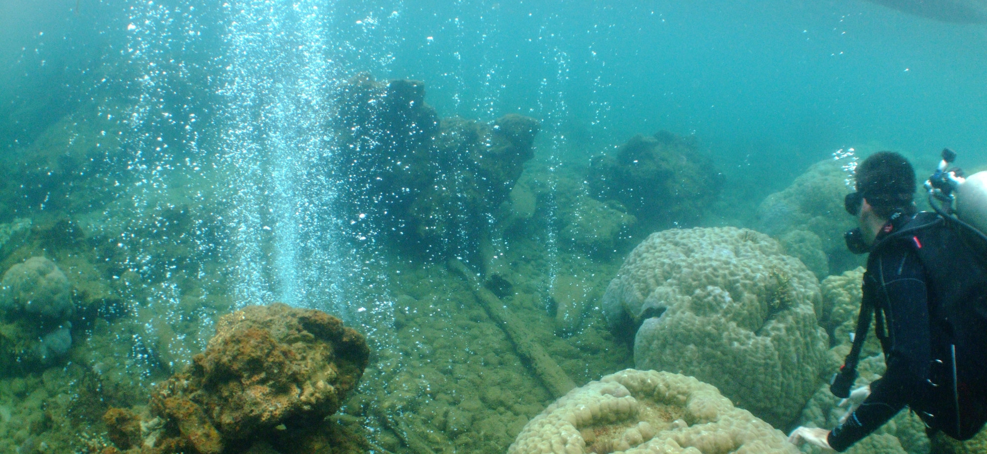 Volcanic bubbles help foretell the fate of coral in more acidic seas