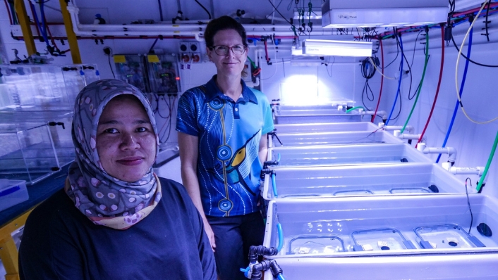 Two scientists in coral aquaculture facility