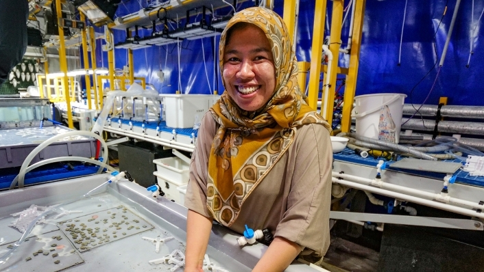 Indonesian scientist assembles coral devices