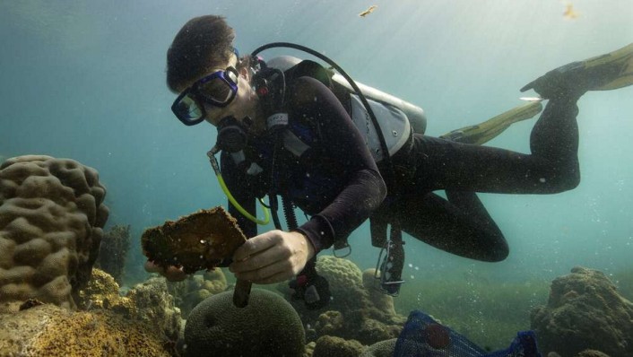 a diver holding equipment underwater