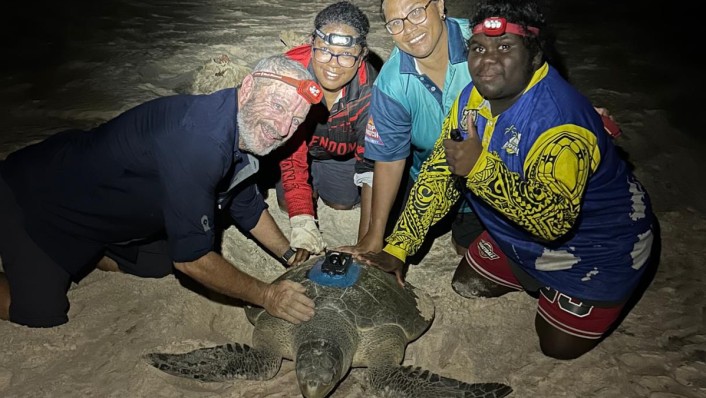 A group of people with head torches pose behind a turtle with a tag on its shell