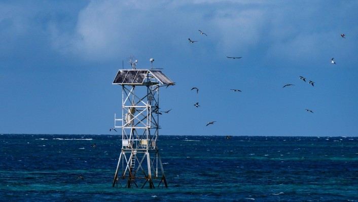A tall structure with panels and birds flying around it is pictured in the ocean